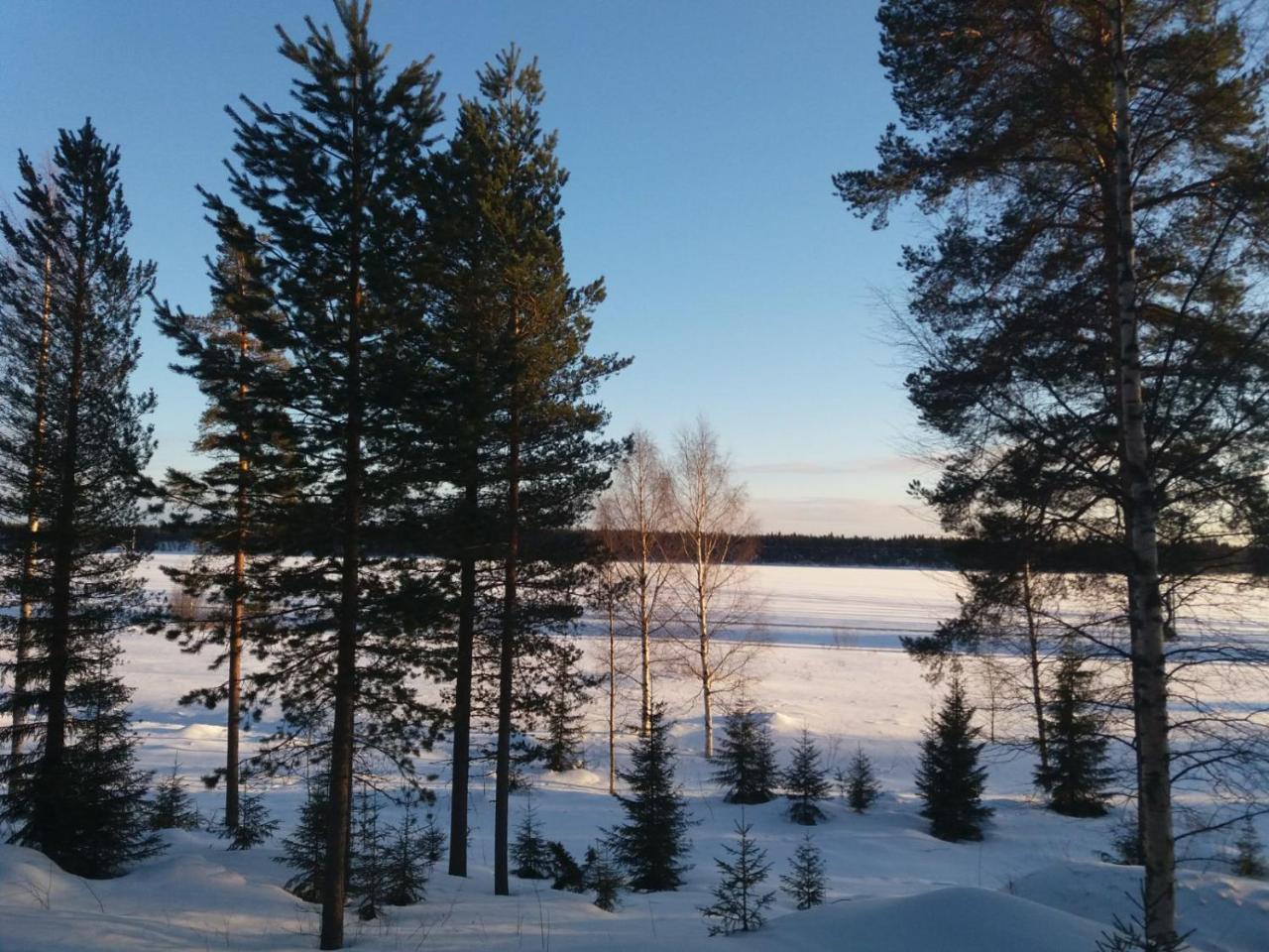 فيلا Rieskapaikka Koivu المظهر الخارجي الصورة